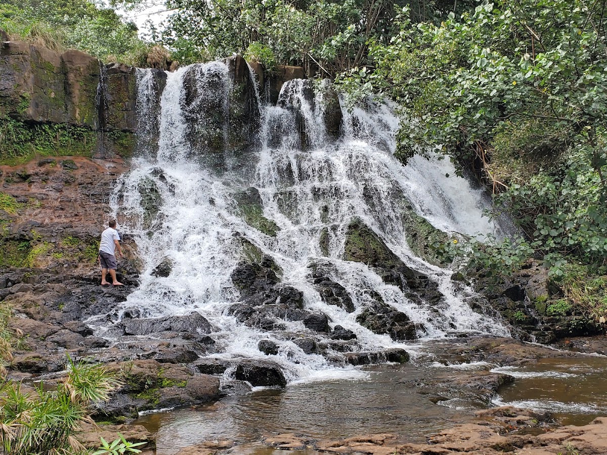 Kapaa Stream