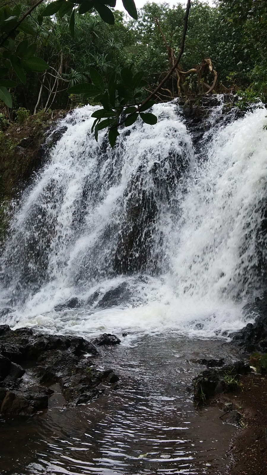 Kalihiwai River