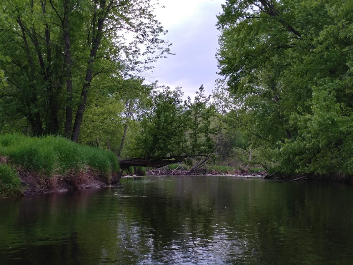North Bend Bottoms Wildlife Area