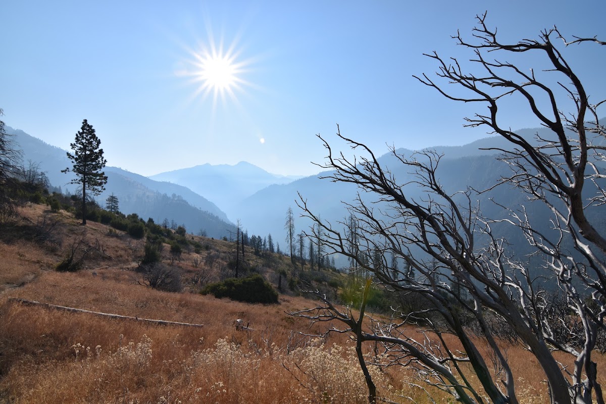 Hotel Creek Trail