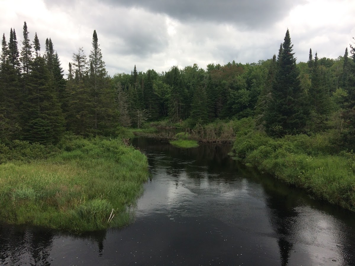 St. Regis River