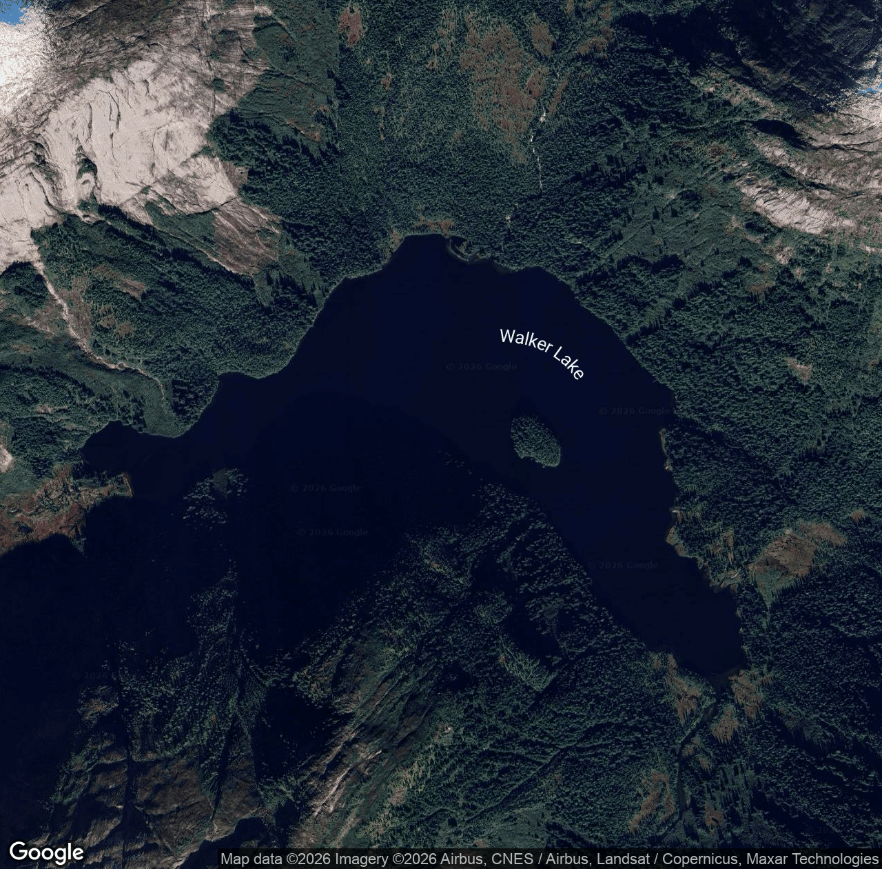 Walker Lake