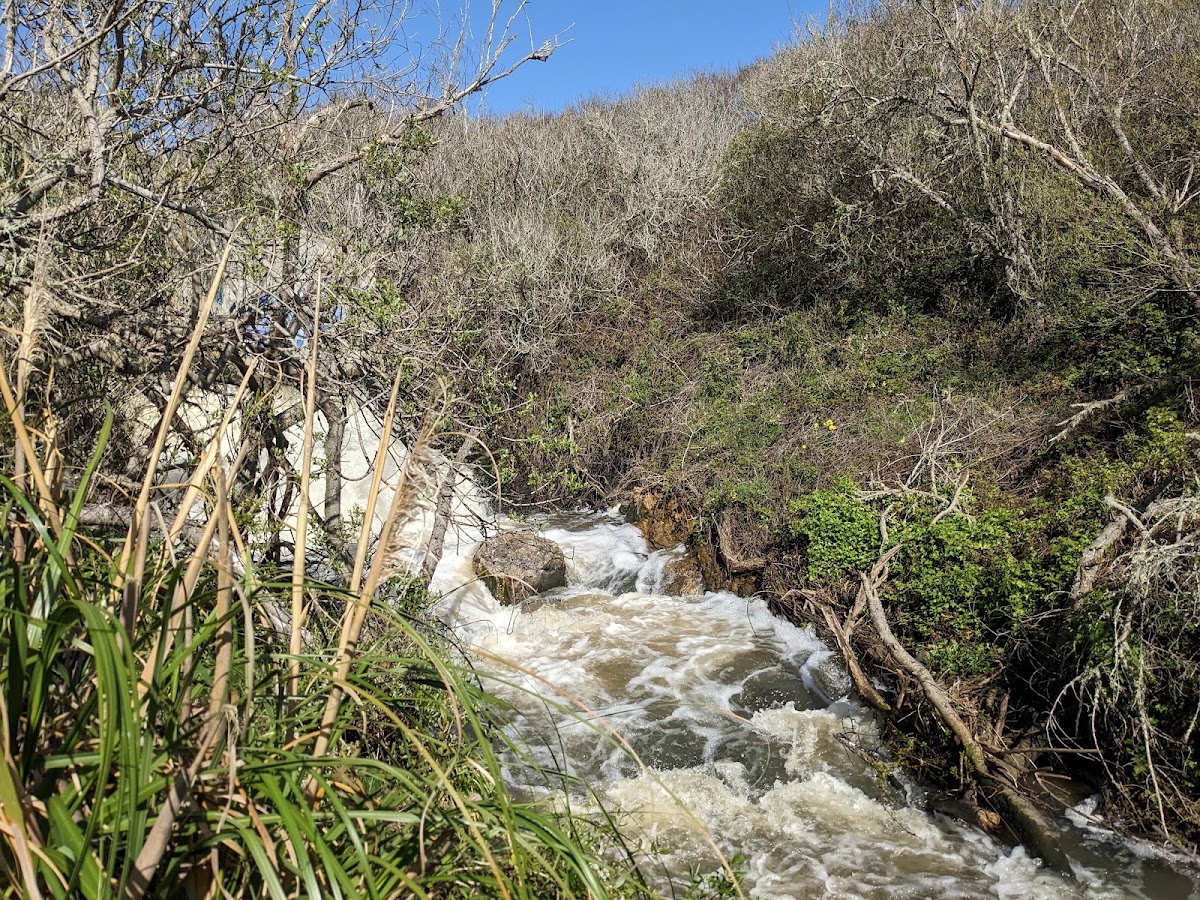 Calera Creek