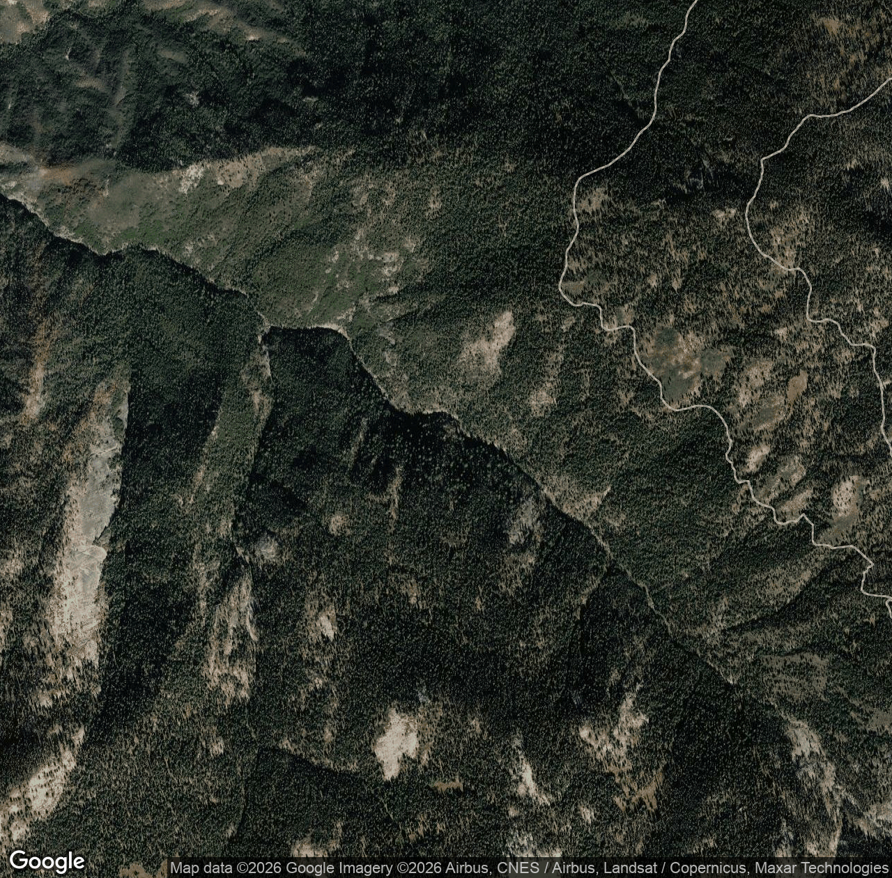 Horse Creek Grove