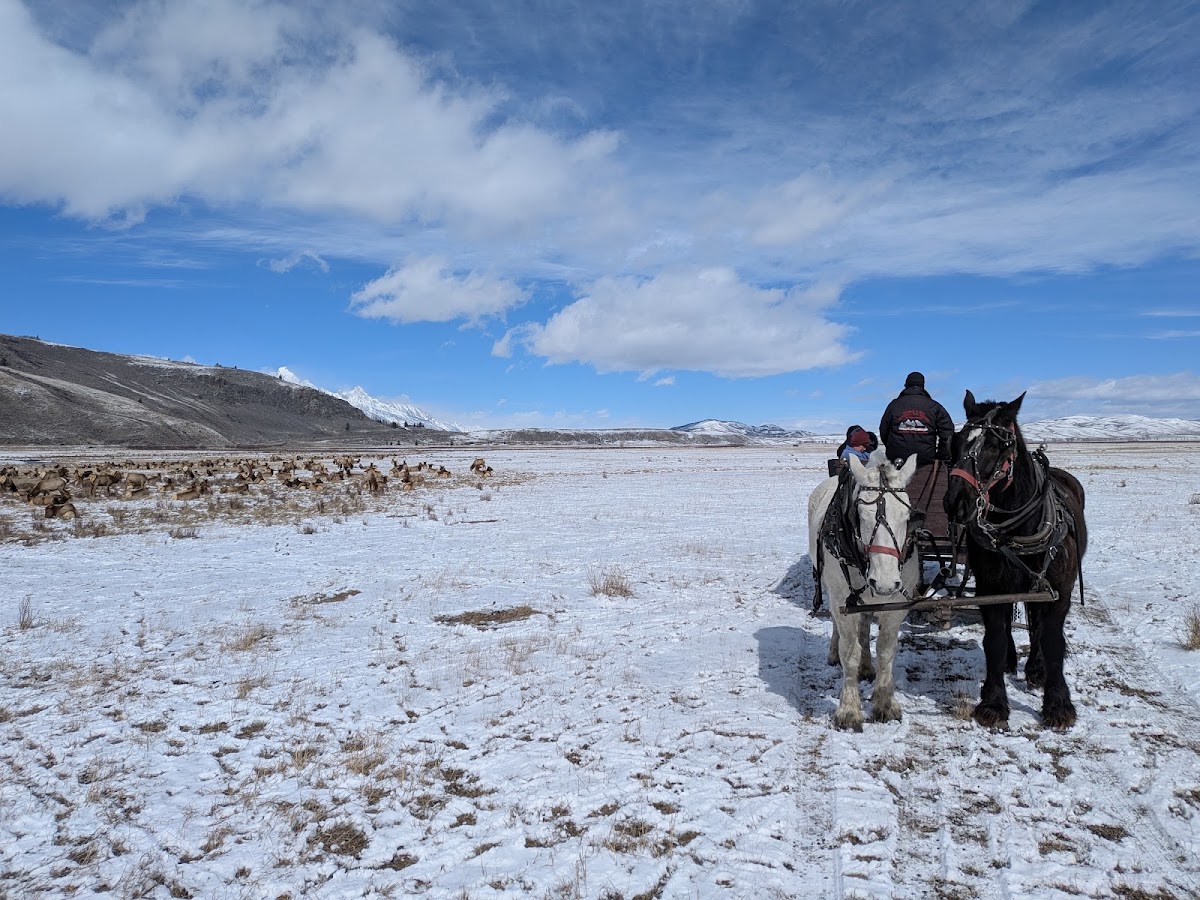Elk Ranch Reservoir