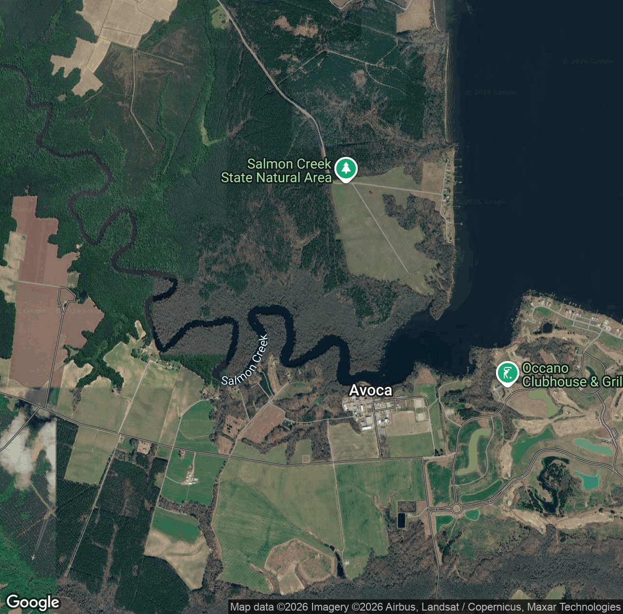 Salmon Creek State Natural Area