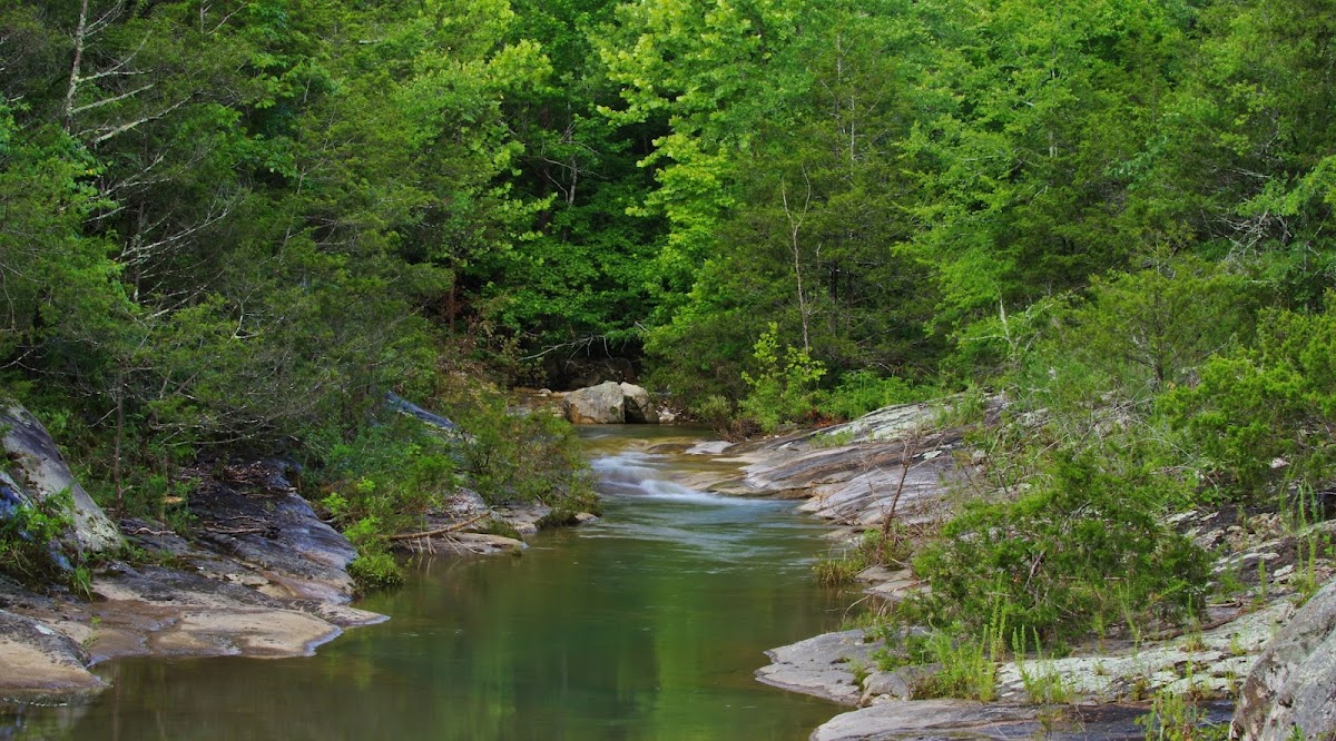 Sneed's Creek Trail