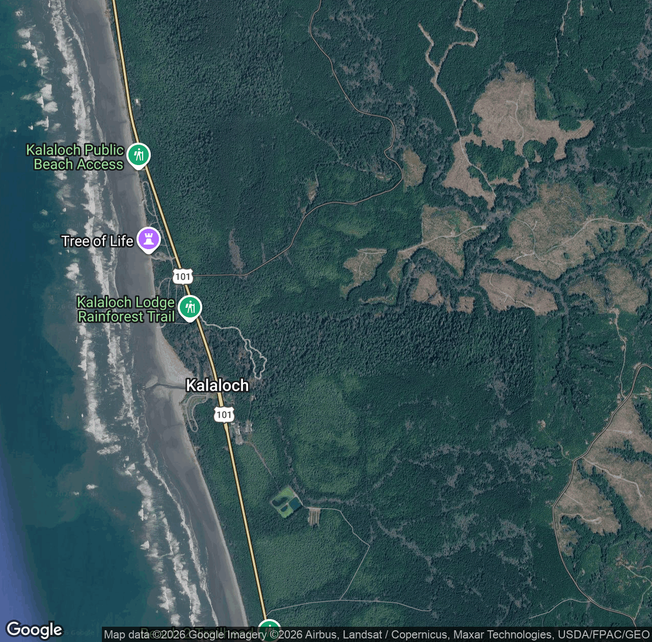 Kalaloch Creek