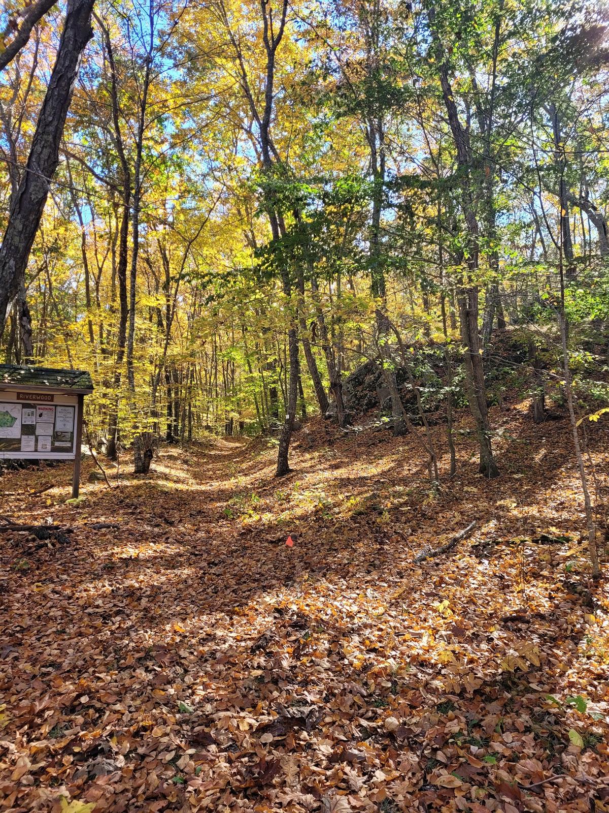 Riverwood Preserve Orange Trail