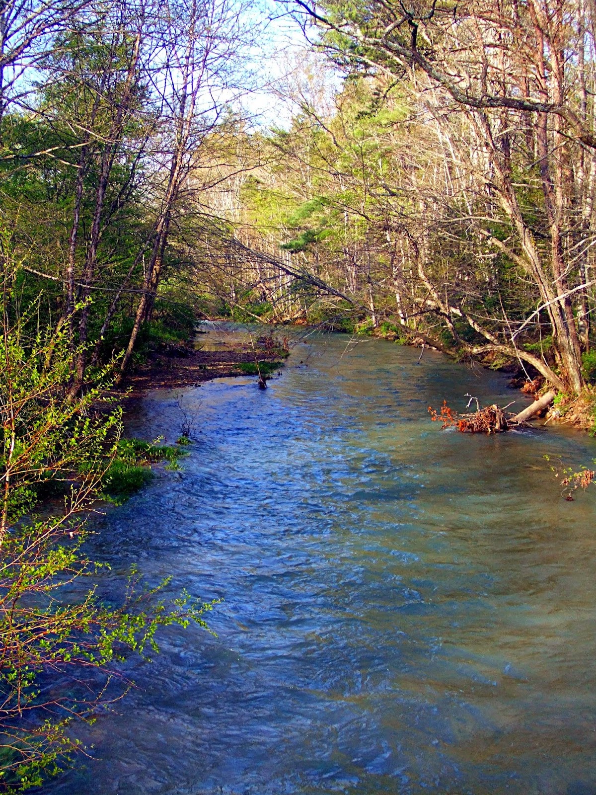 Anthony Creek
