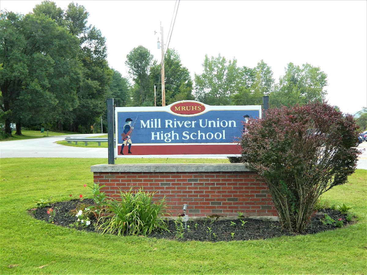 Mill River