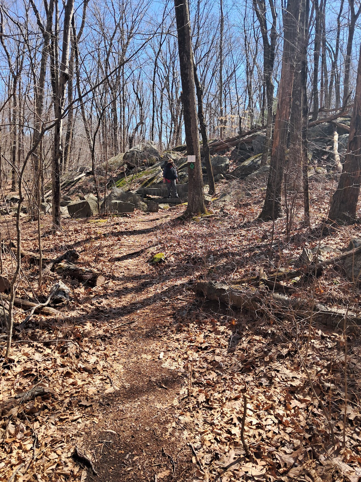 Catamint Loop Trail