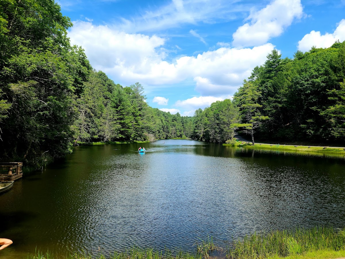 Thorny Creek Trail