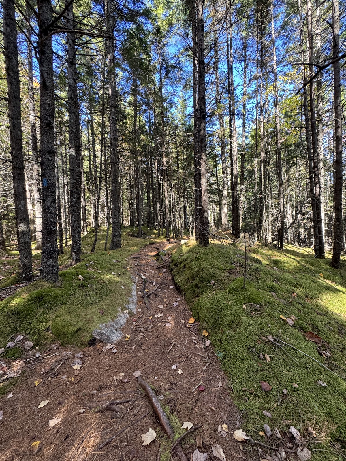 Around-Mountain Carriage Road