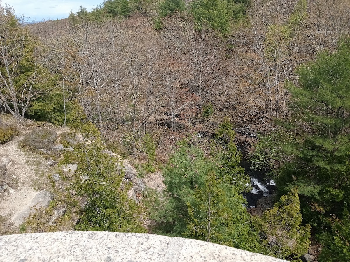 Witch Hole Pond Carriage Road