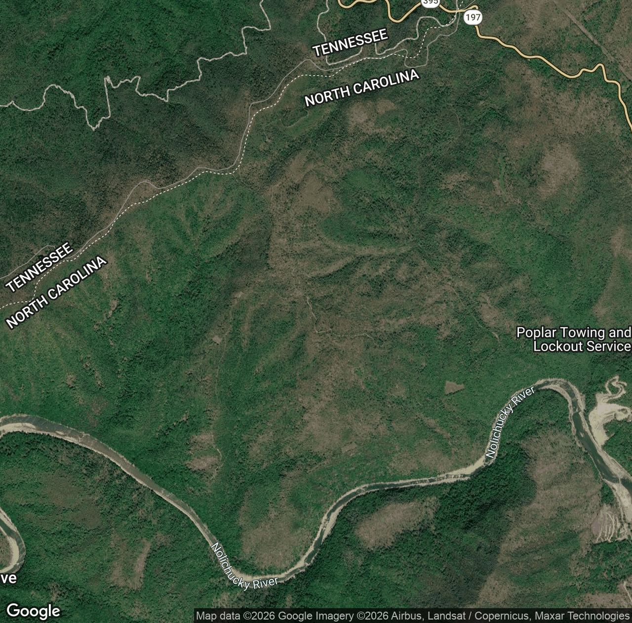 Shinbone Trail