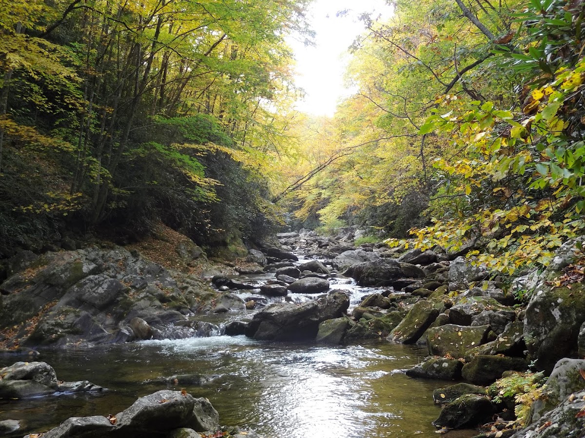 Shining Creek Trail