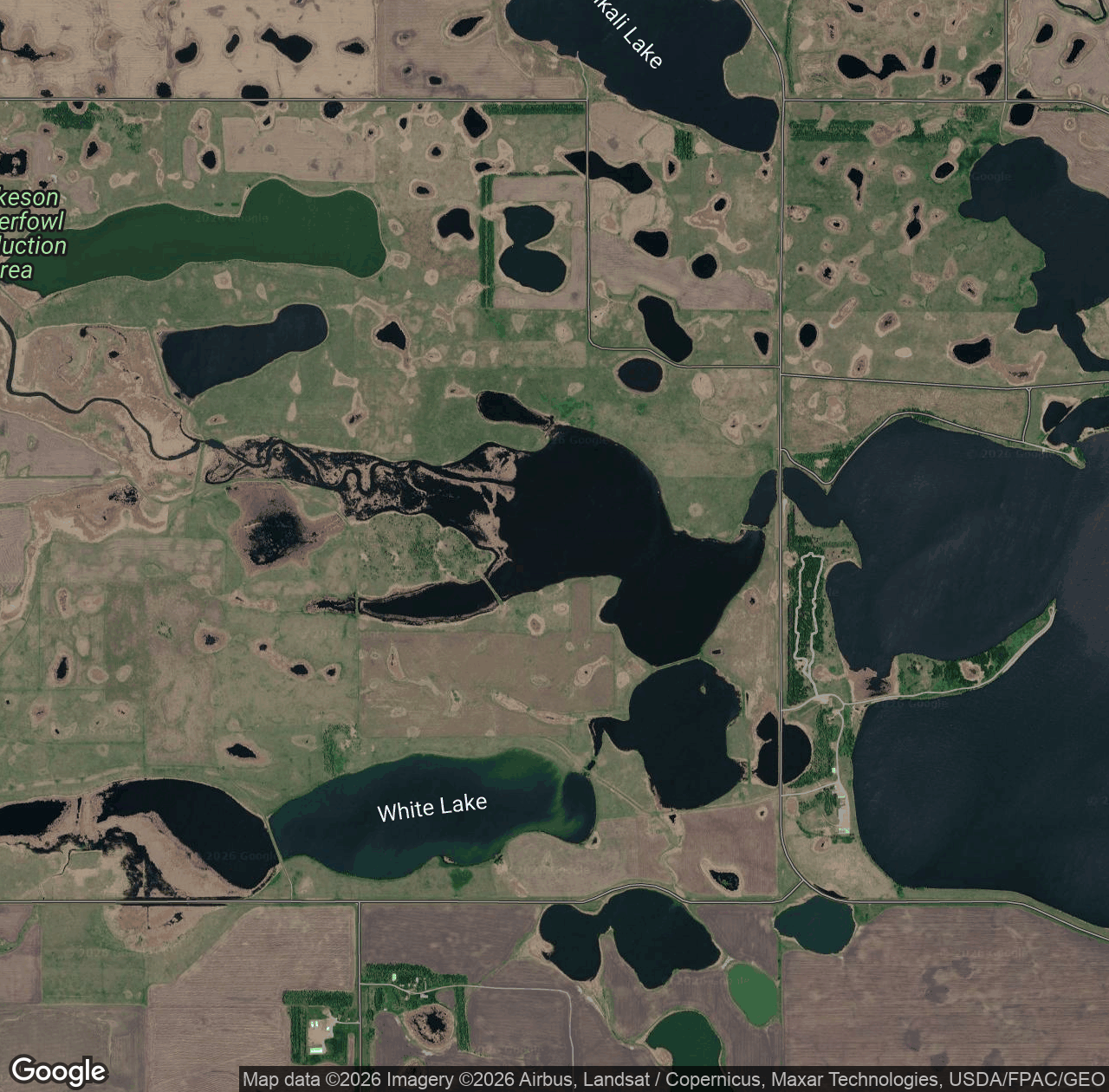 Cutler Marsh