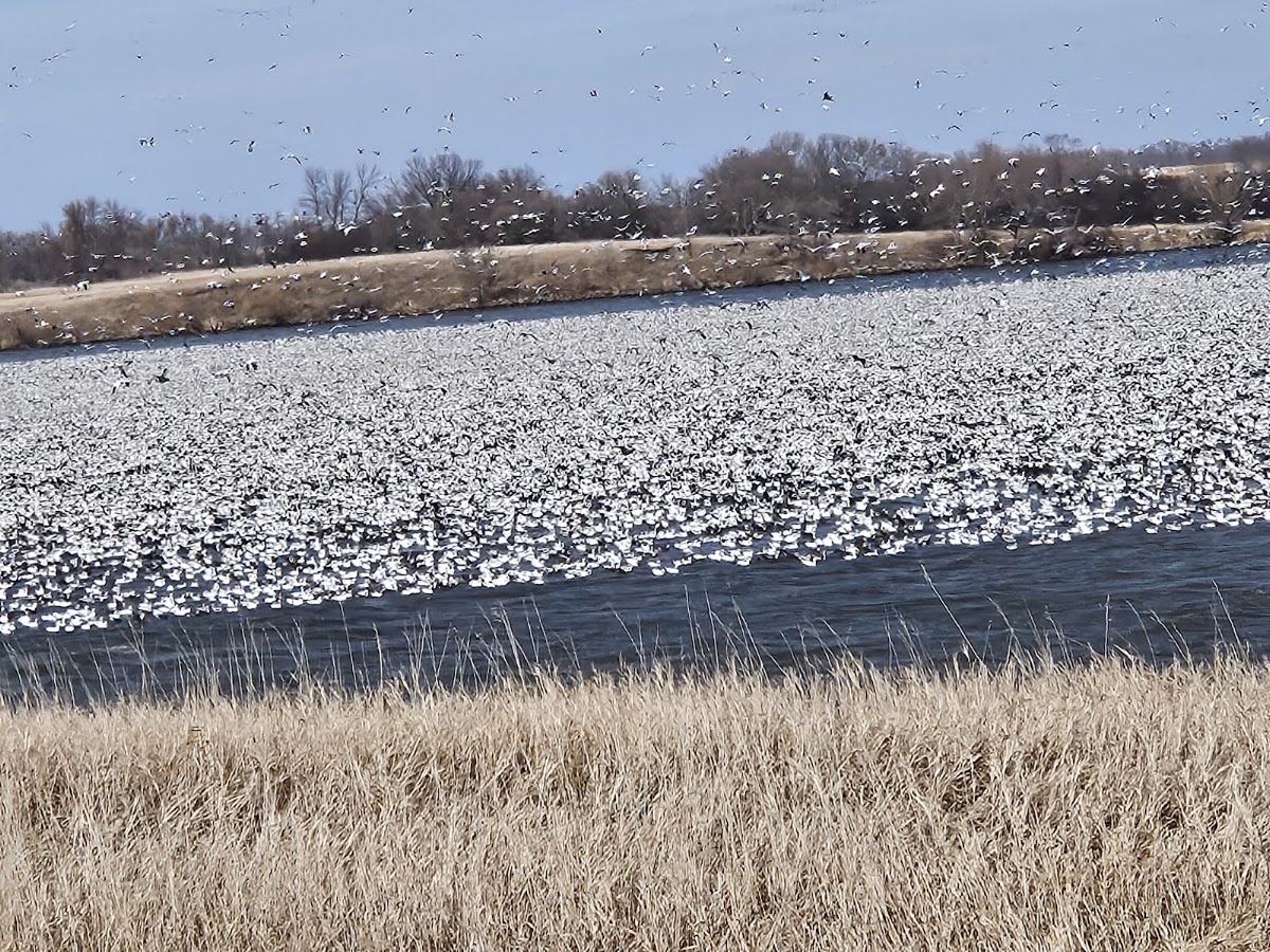 Lake Tewaukon