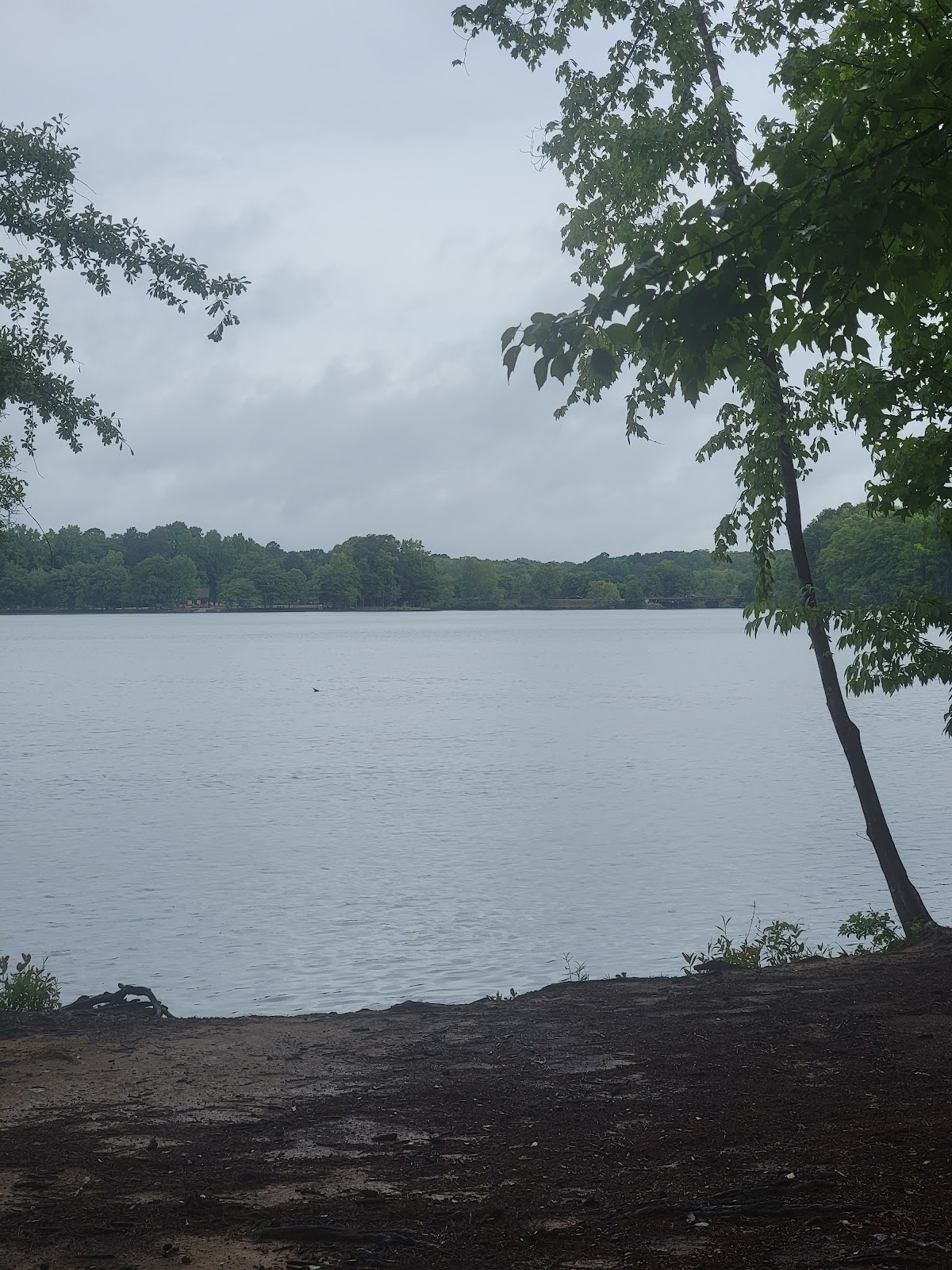 Lake Peachtree