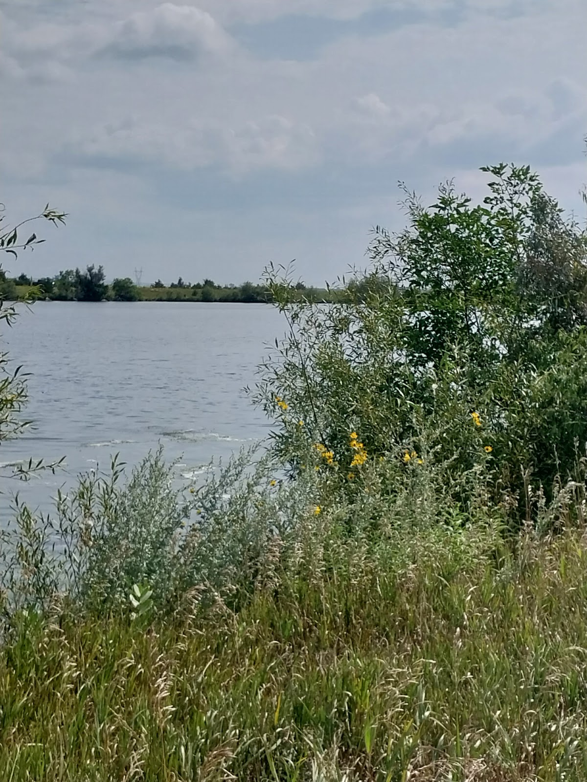 Amsden Lake