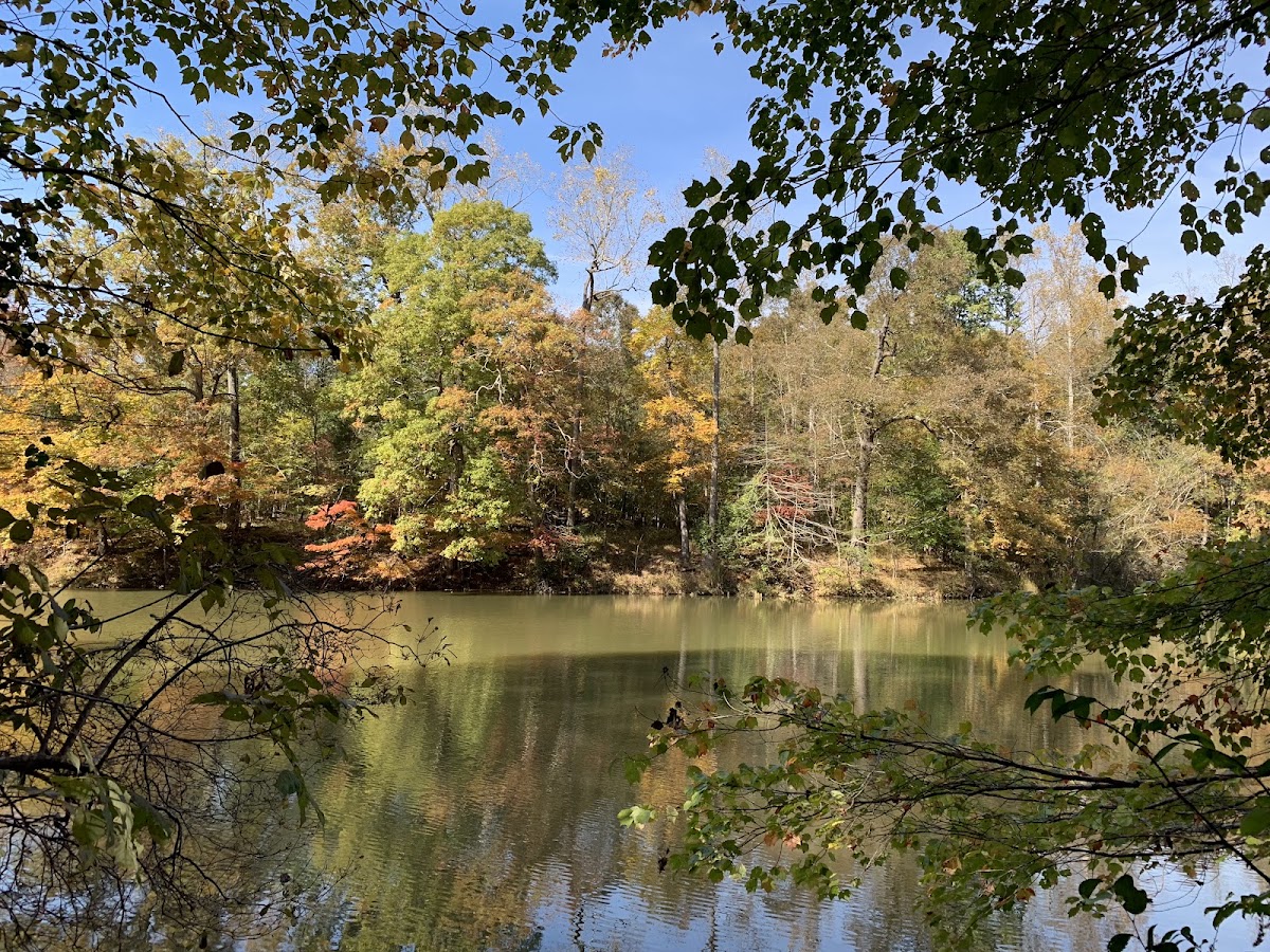 Morgan Falls Reservoir