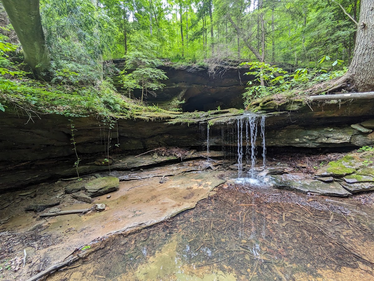 First Creek Trail