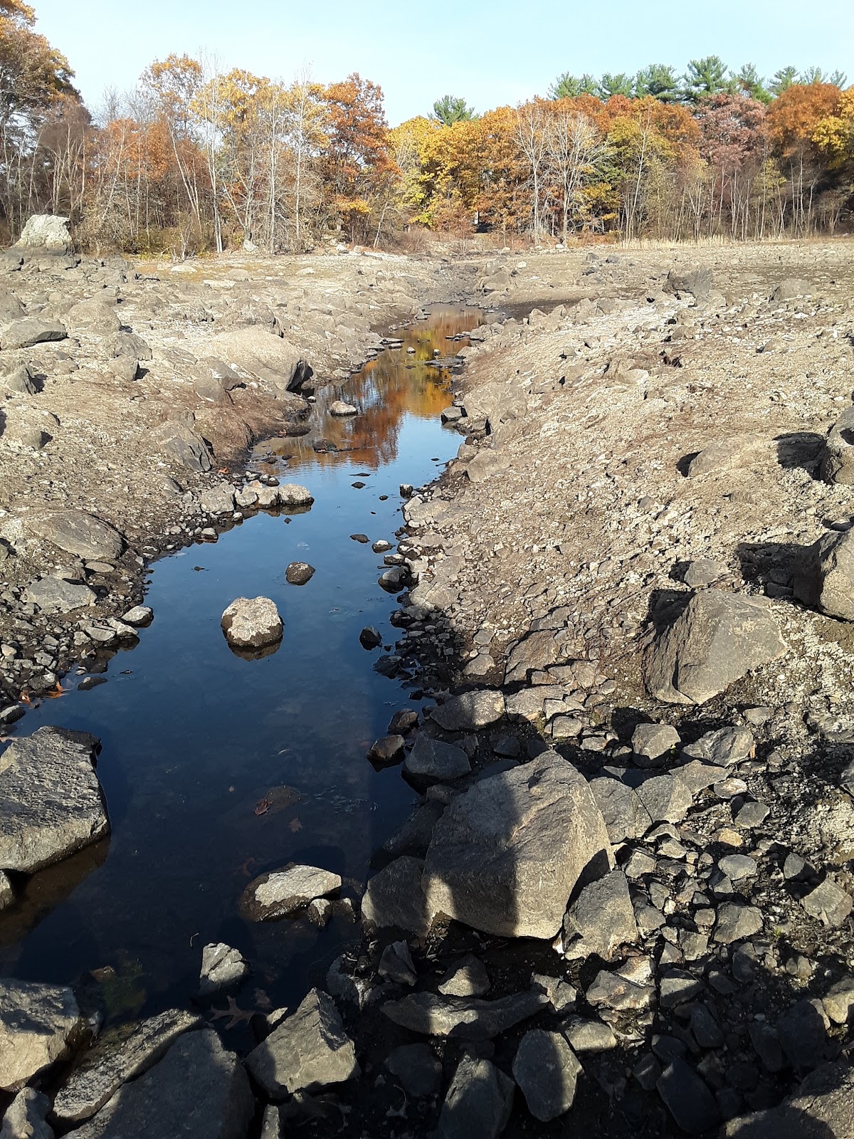 Breeds Pond