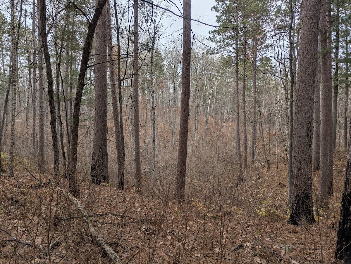 Goose Lake Hiking Trail