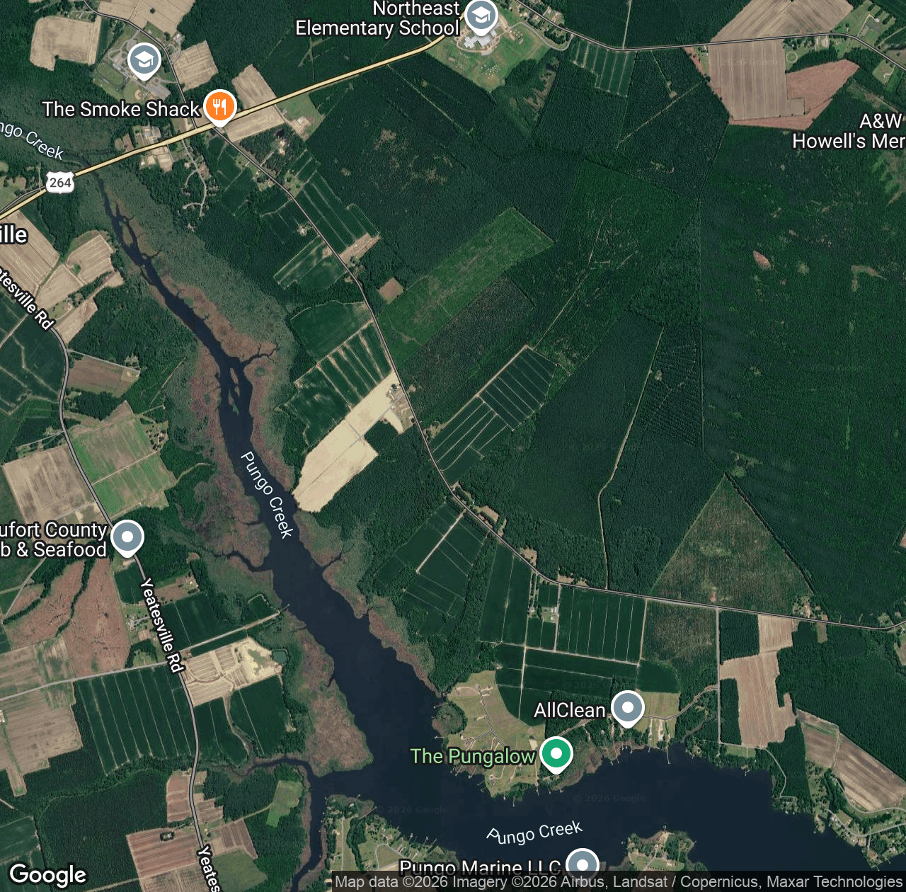 Pungo Creek