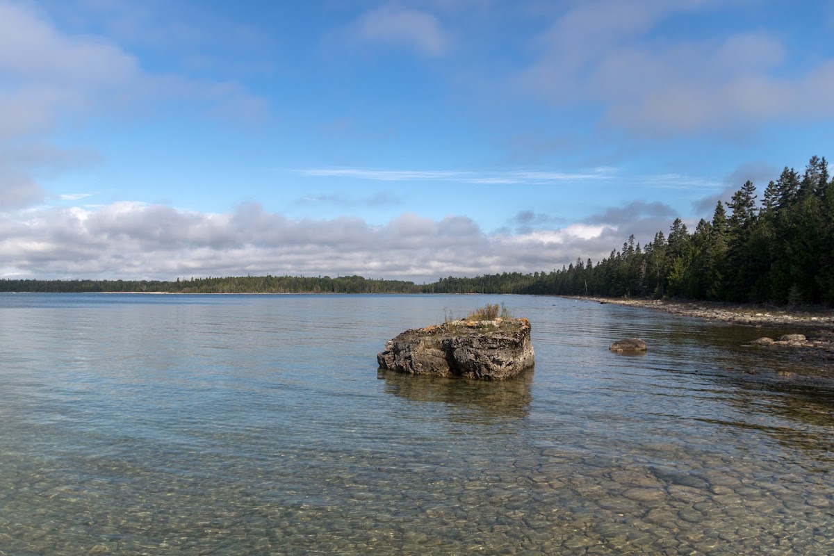 Goverment Island Trail