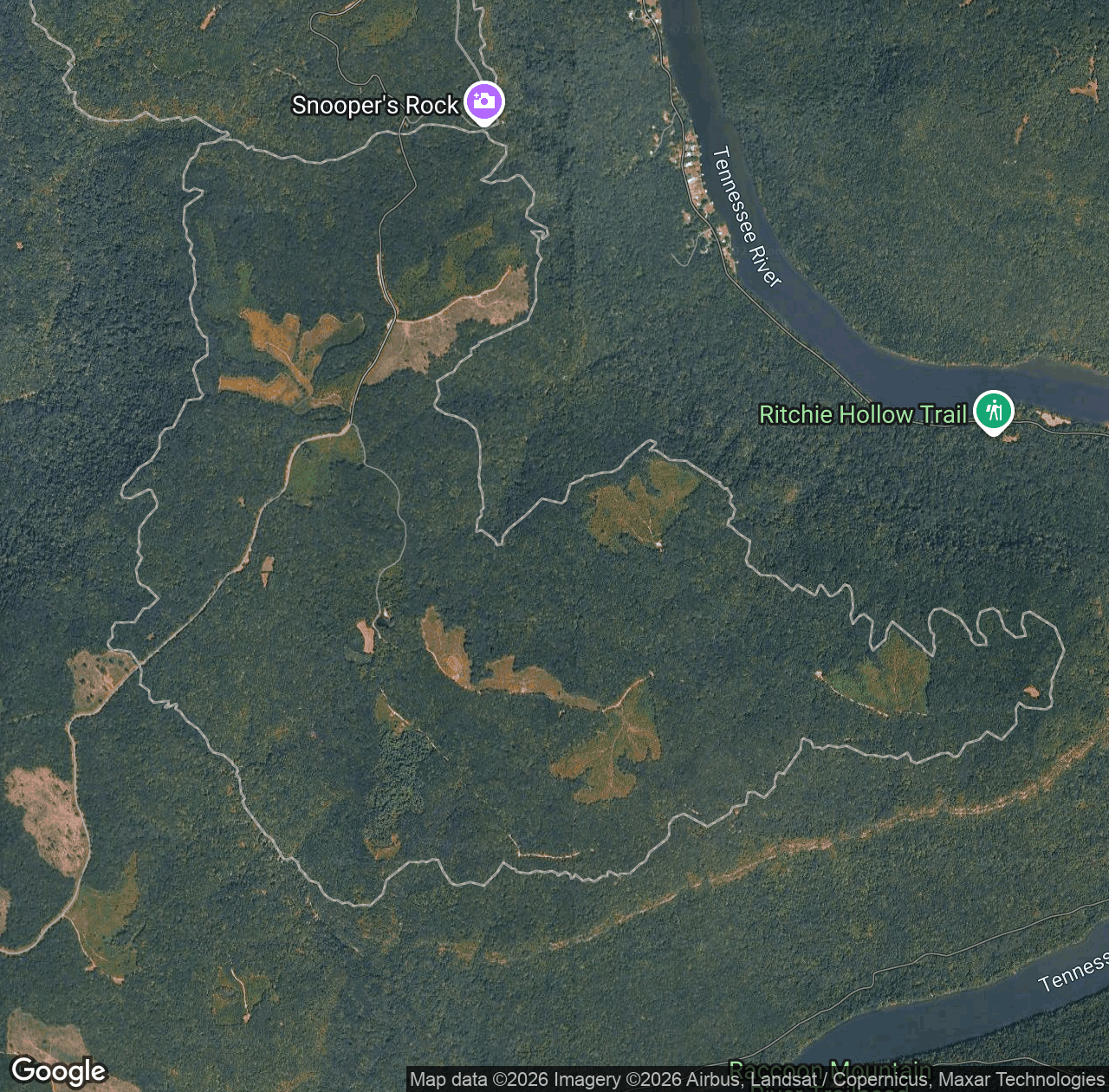 Pot Point Loop