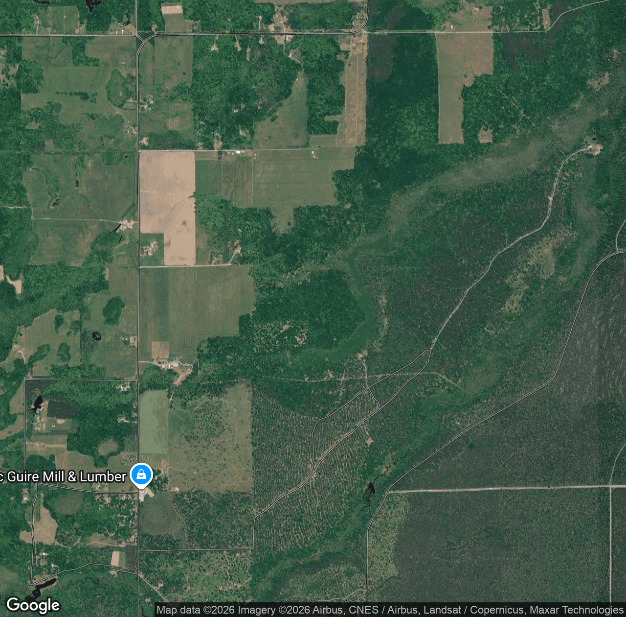 Wallace Creek