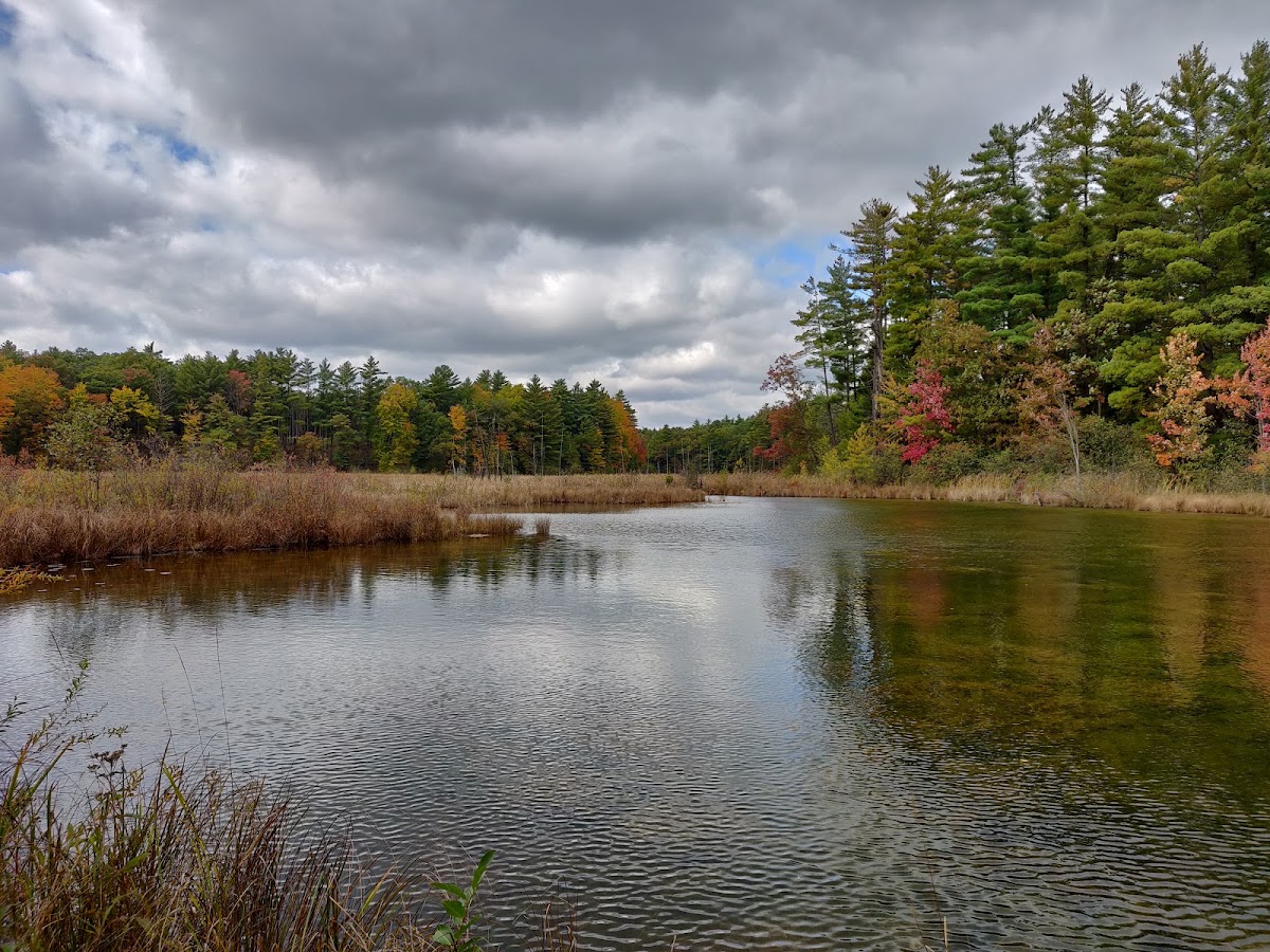 Coolbough Natural Area