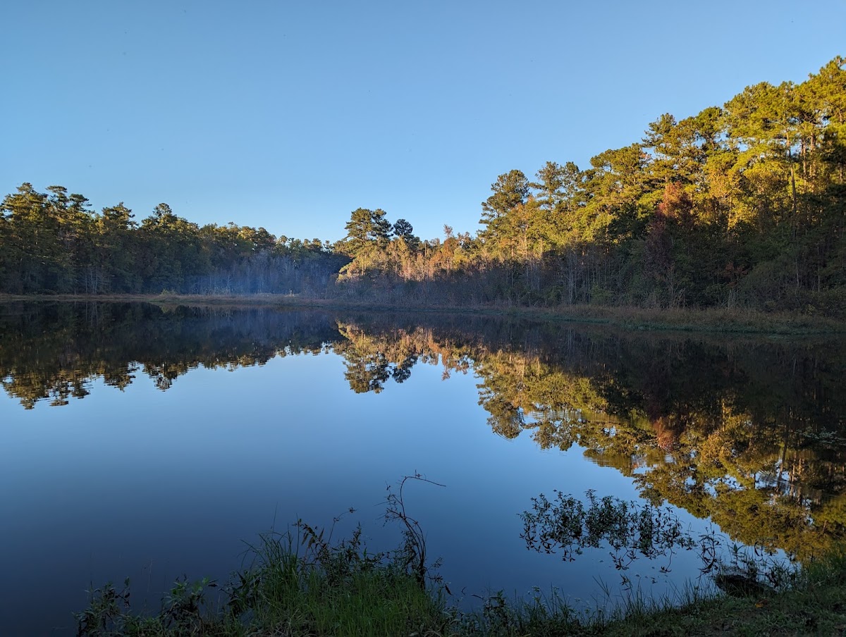 Barnwell State Park