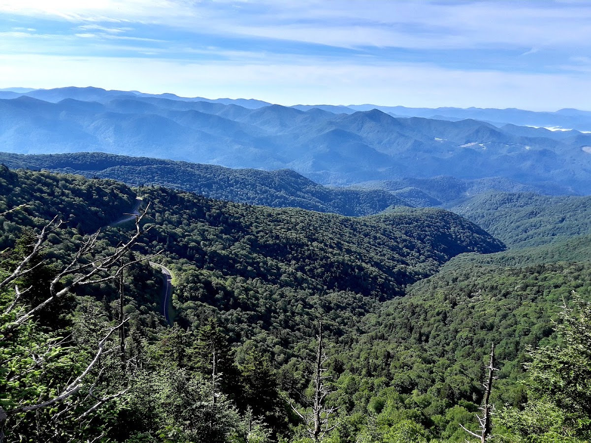 Browning Knob Trail