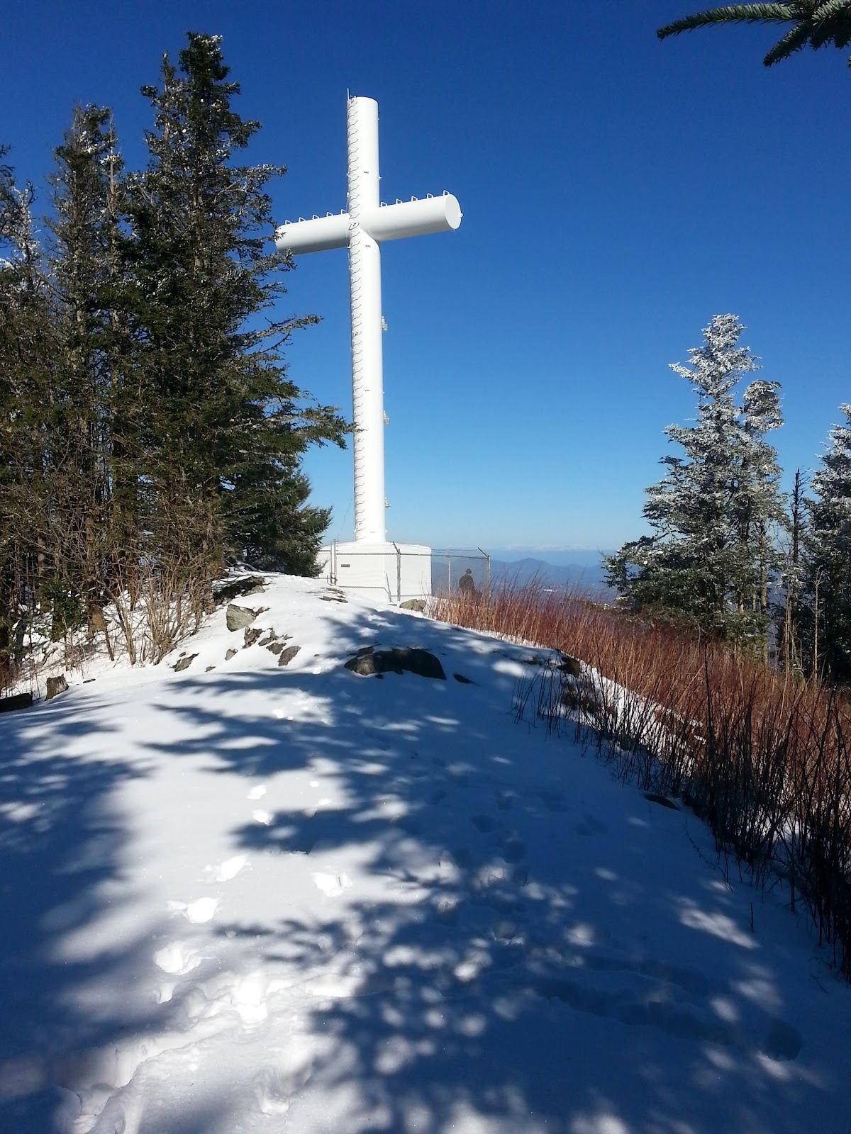Lyn Lowry Trail