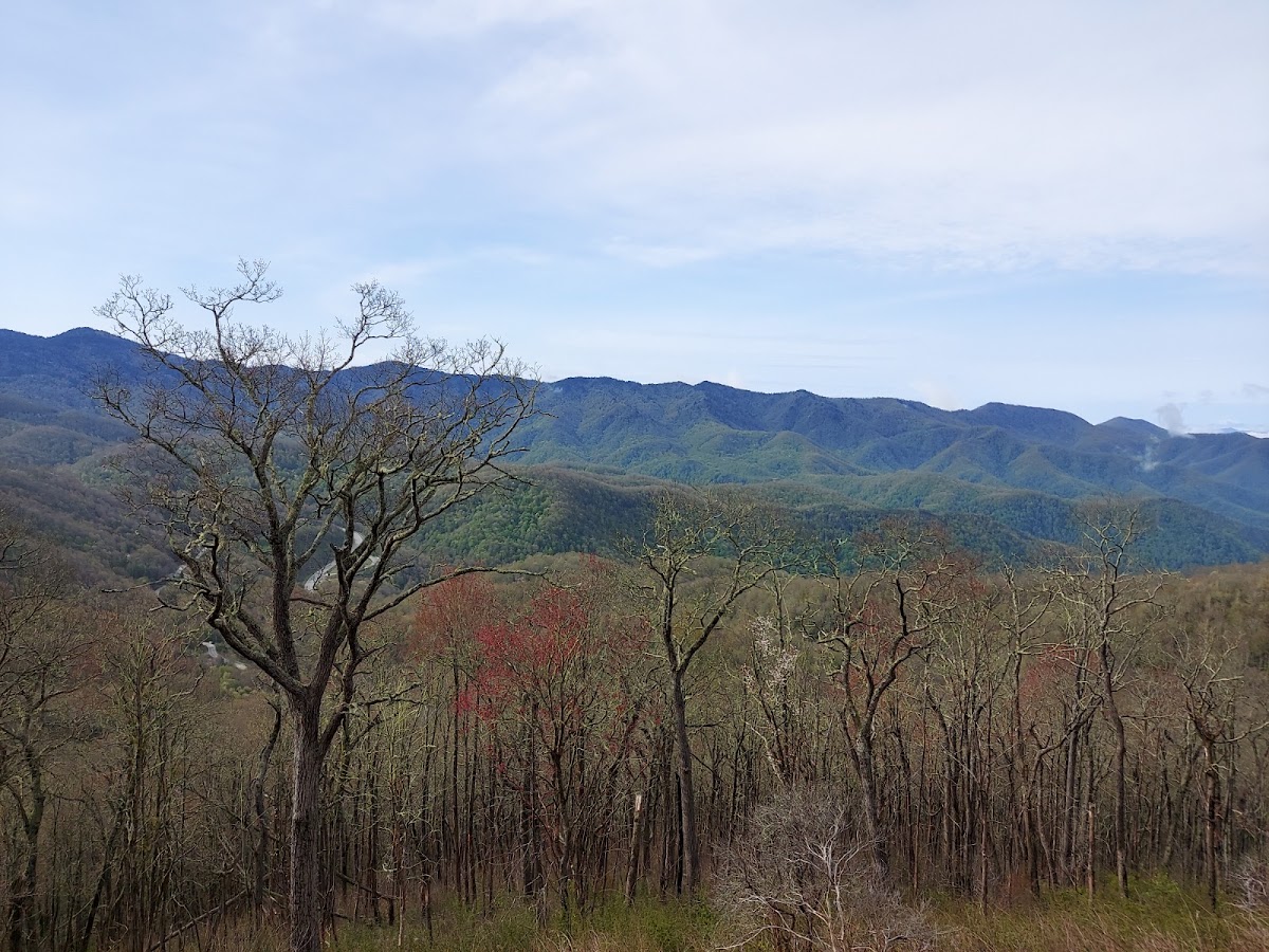 Plott Balsam Trail