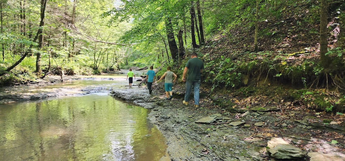 Clifton Creek