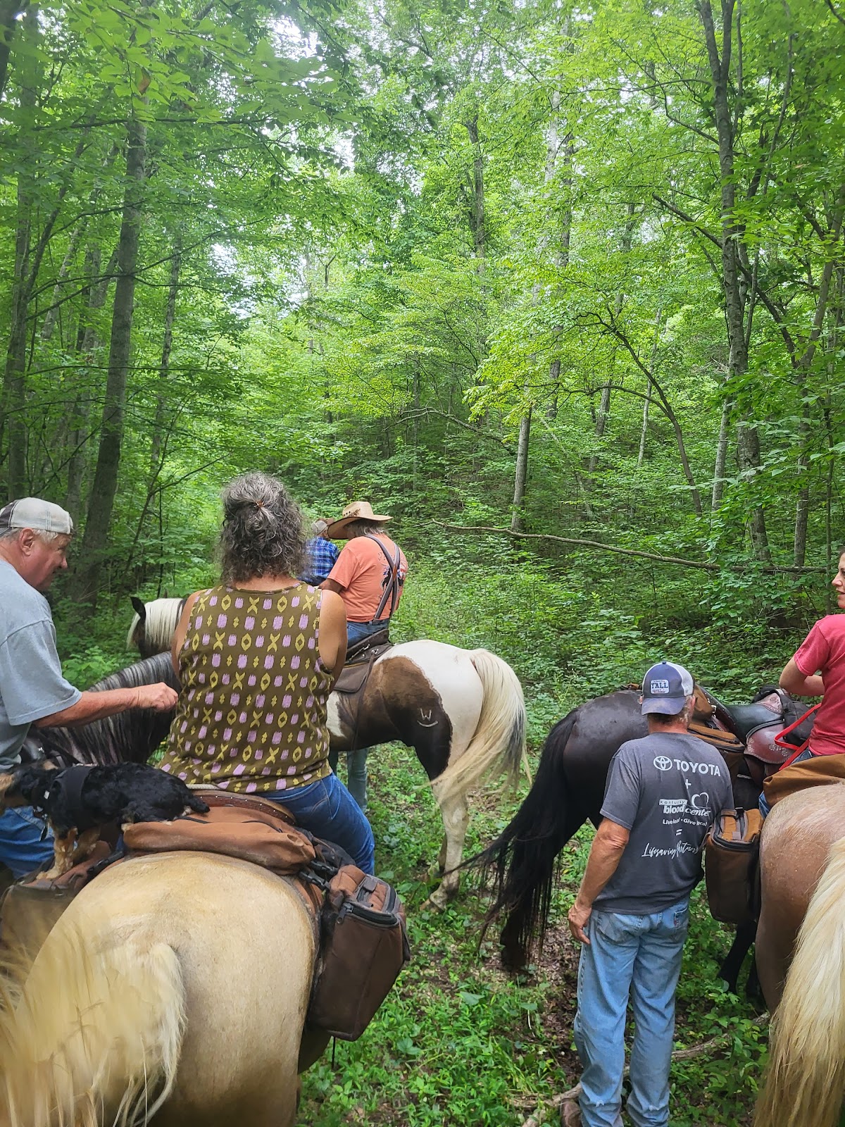 Leatherwood Creek