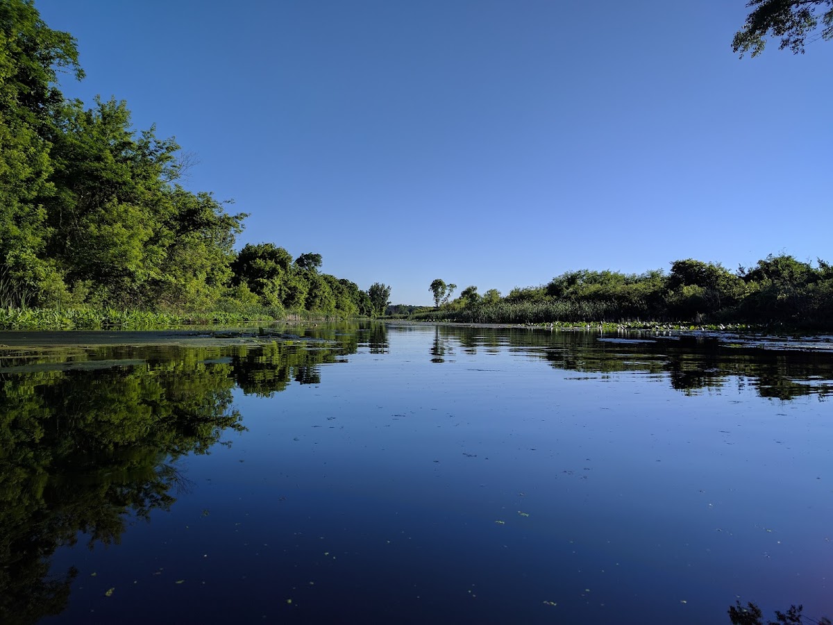 Muskegon River