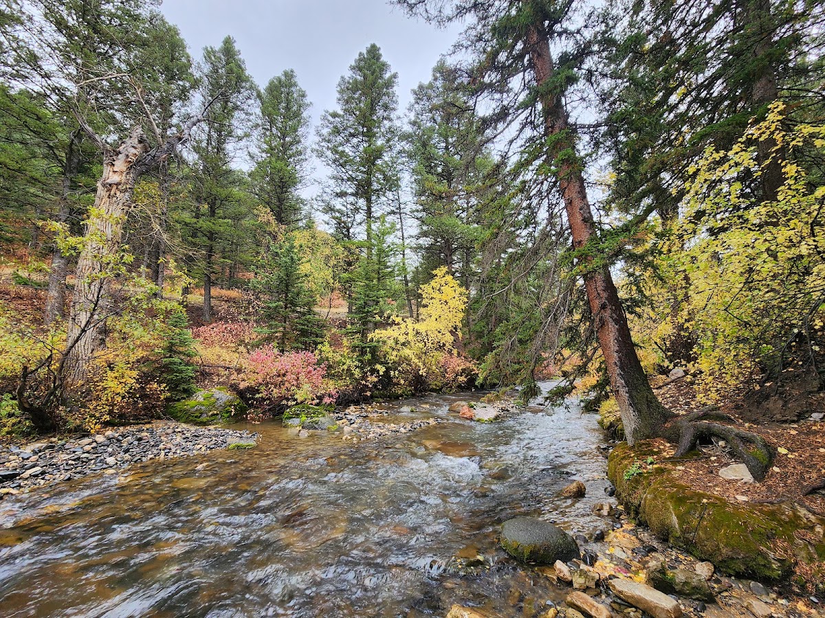 Dead Indian Creek Trail