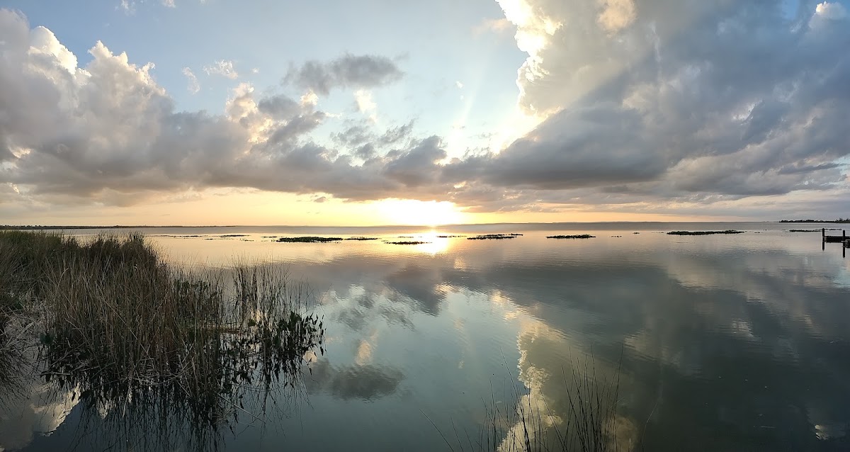 Lake Apopka