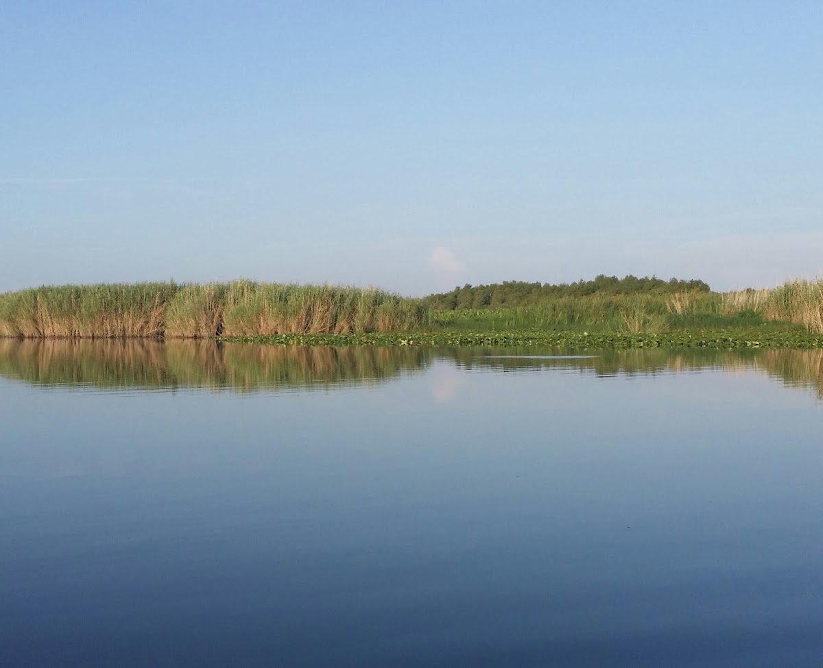 Lake Jesup