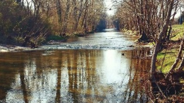 Station Camp Creek