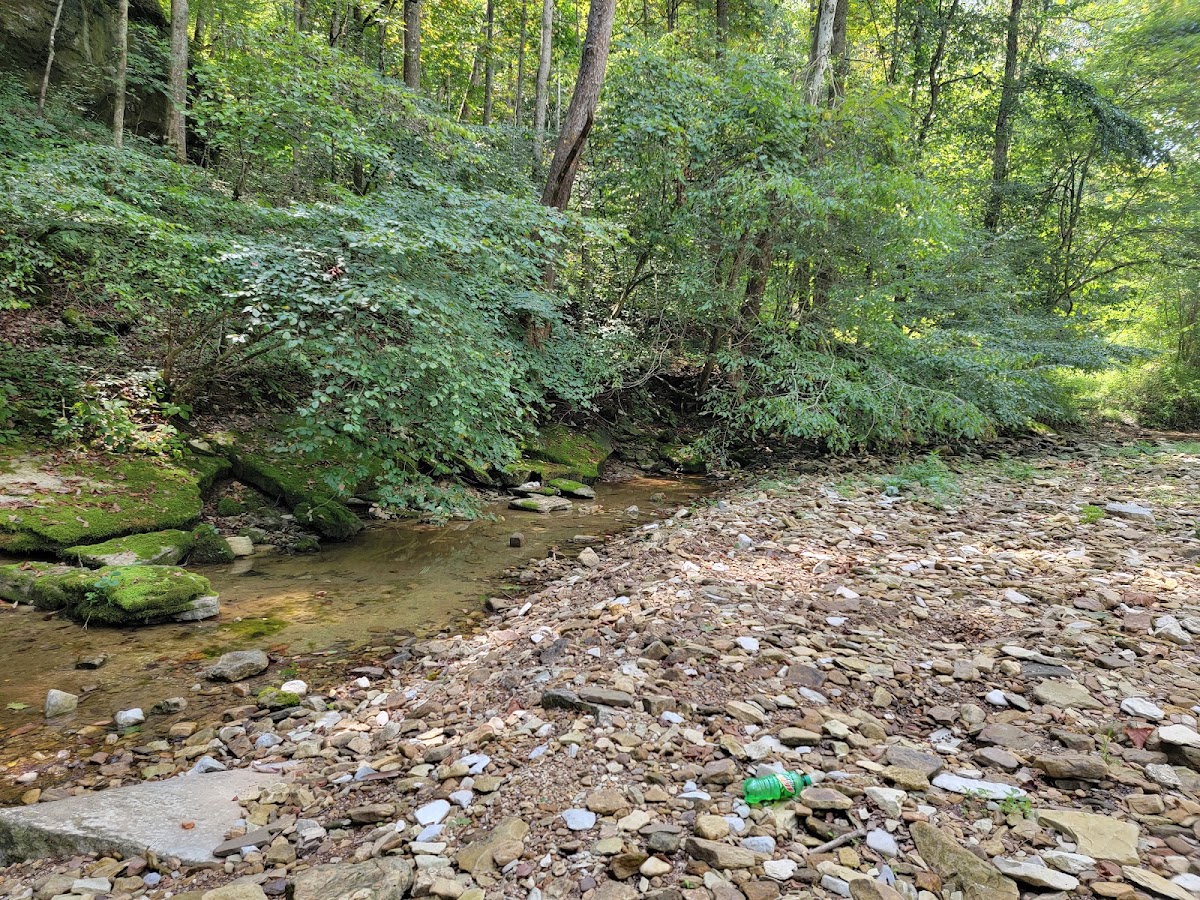 Camp Creek South Fork