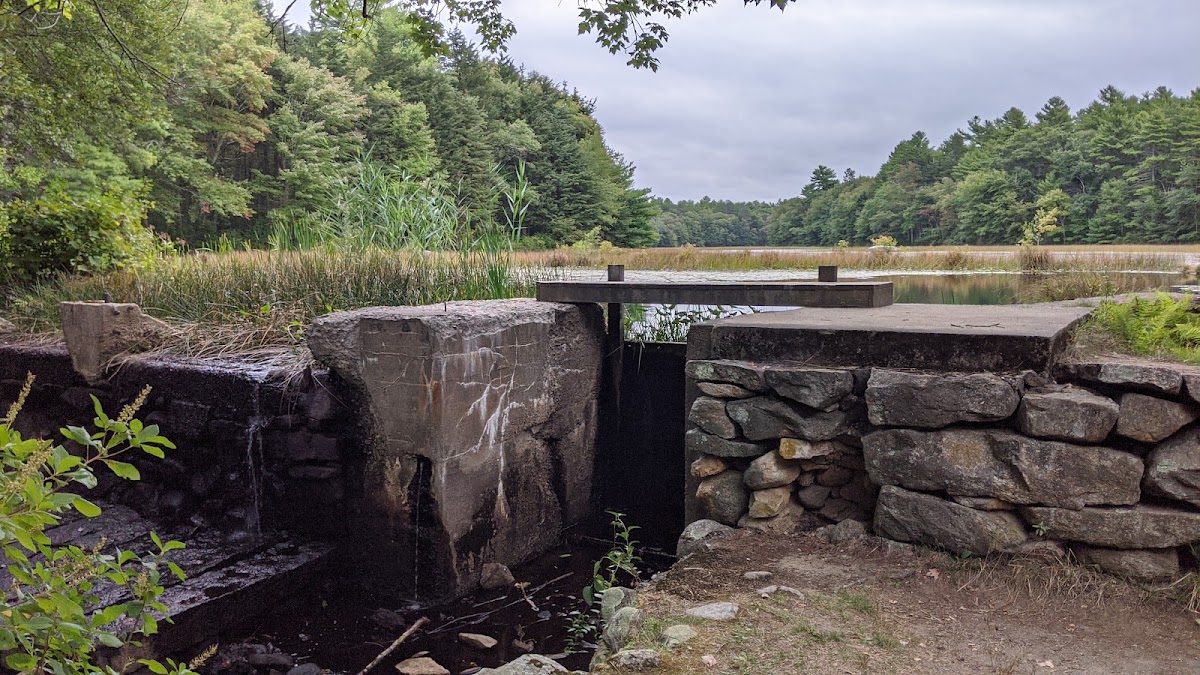 Capwell Mill Pond