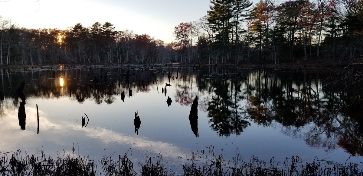 Hazard Pond