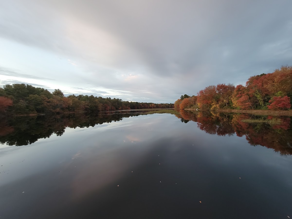 Alton Pond