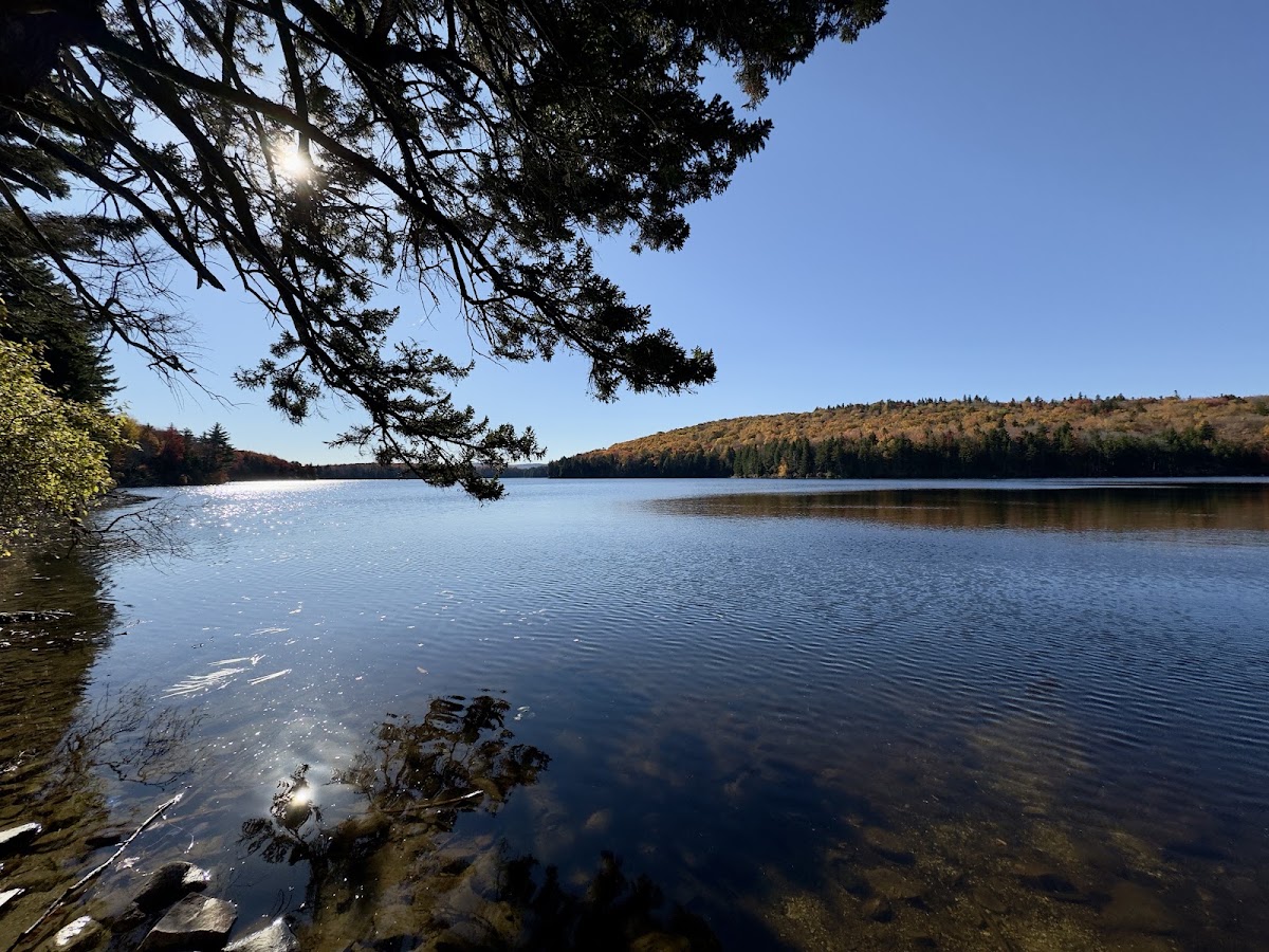 Grout Pond Recreation Area
